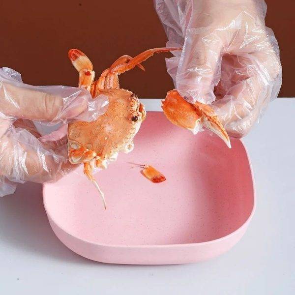 Food Grade Elliptical Plates Set 2025 - Using for peels