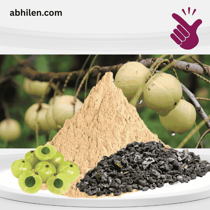 Amla Emblica officinalis powder for Unani and Ayurvedic use