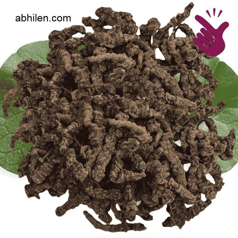 Close-up of Asaroon Valeriana wallichii dry roots