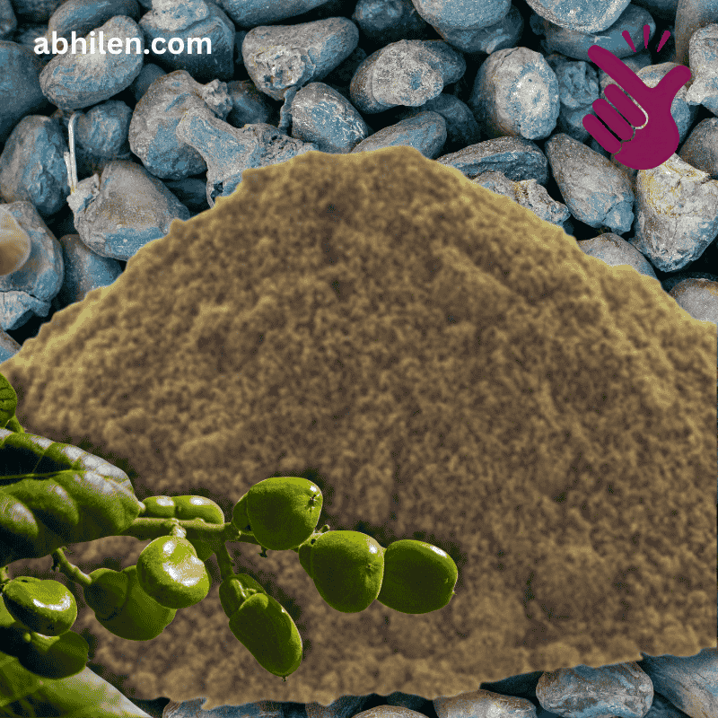 Bhilawa Seed Semecarpus anacardium powder for wellness