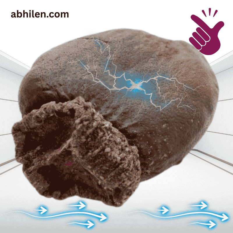 Close-up of Bhilawa Seed Semecarpus anacardium