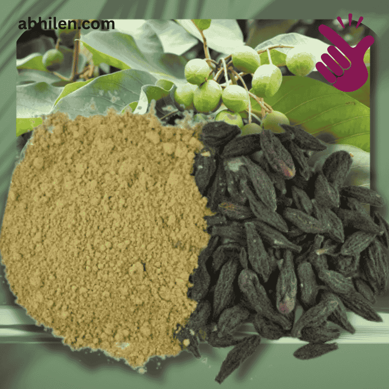 Small Harad Terminalia chebula fresh, dry, and powder forms۔