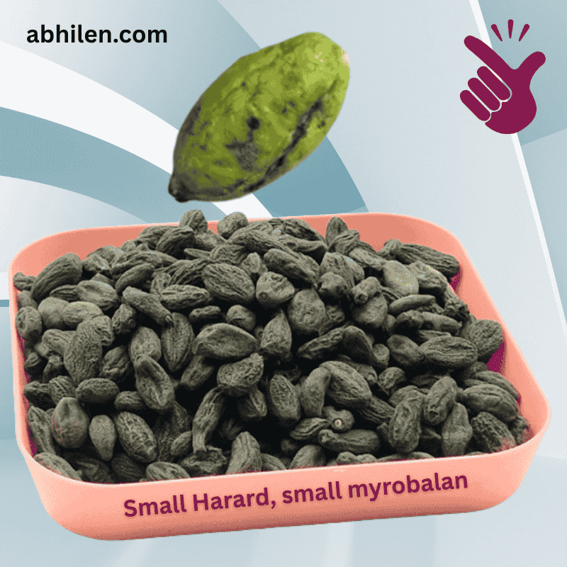 Small Harad Terminalia chebula whole fruit for Ayurvedic remedies