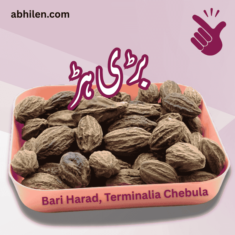 Bari Harad Terminalia chebula whole fruit for Unani remedies
