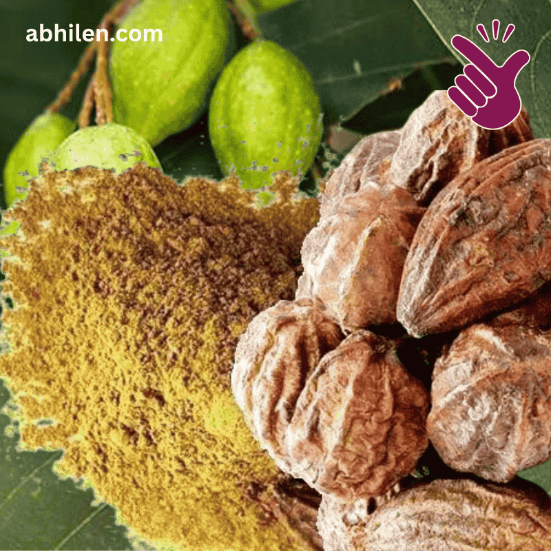 Bari Harad Terminalia chebula powder for wellness