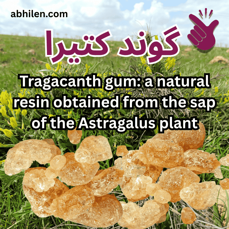 Gond Katira Tragacanth Gum plant with whole resin