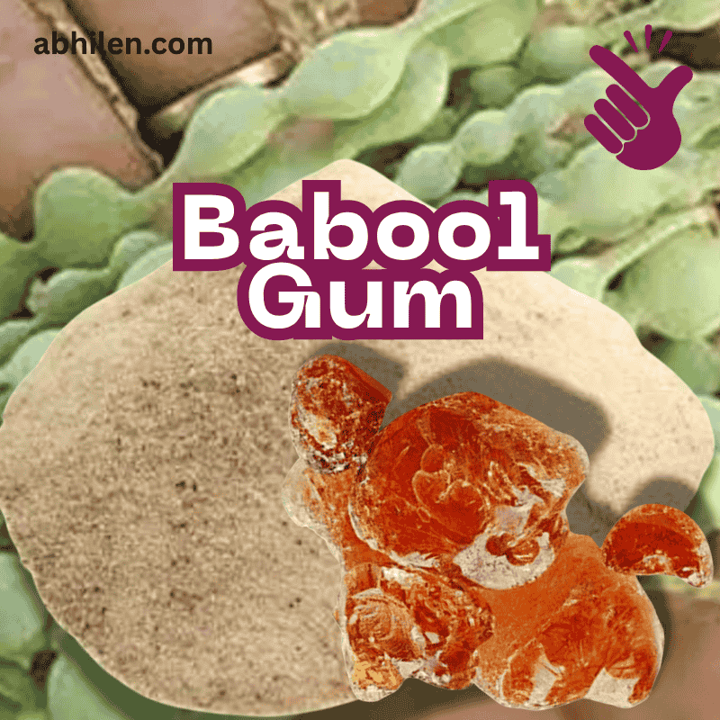 Gond Keekar Acacia nilotica powder for wellness