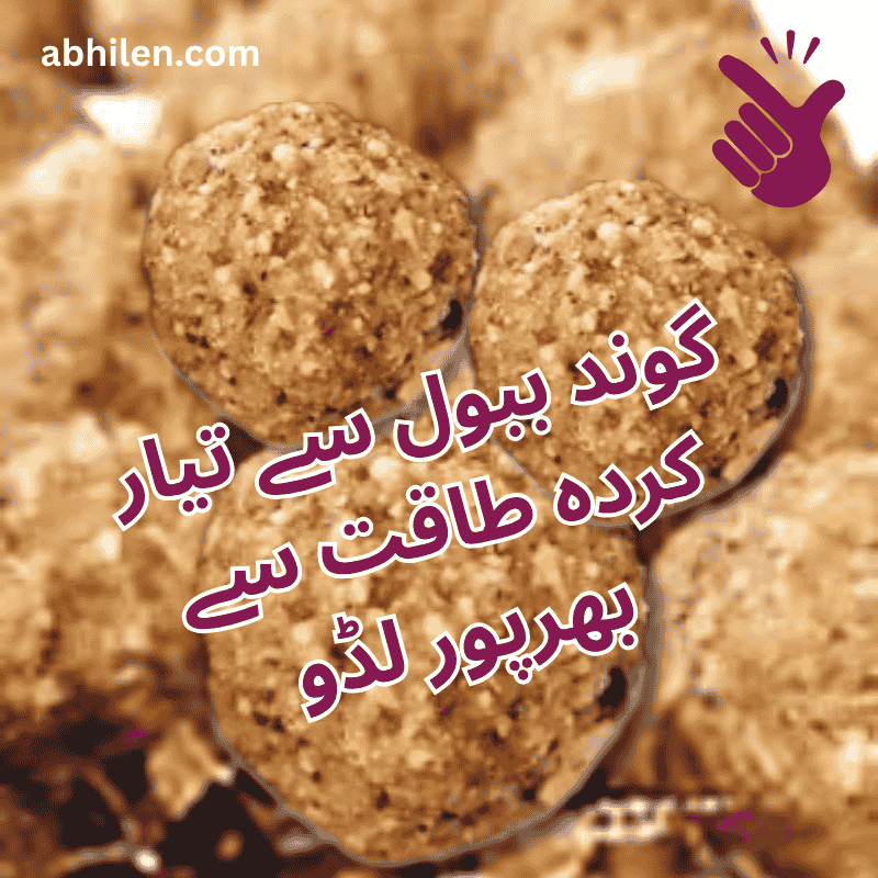 Gond Keekar Acacia nilotica ladoos with dry fruits