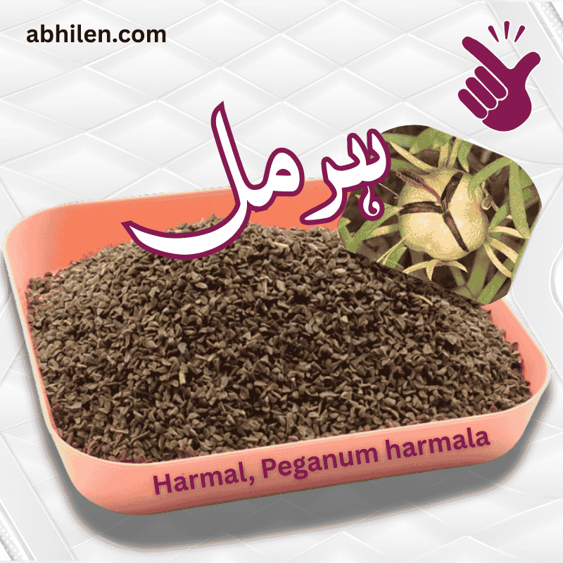 Harmal (Syrian Rue) Seeds Harmal Syrian Rue seeds for Unani remedies