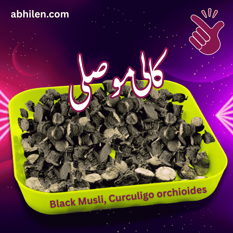 Kali Musli Curculigo orchioides whole roots for Unani remedies