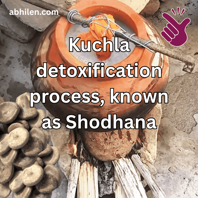 Kuchla Nux Vomica Shodhana detoxification process