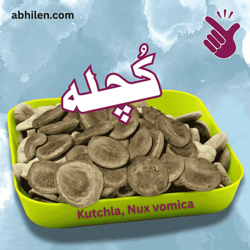 Kuchla Nux Vomica detoxified powder for Ayurvedic remedies