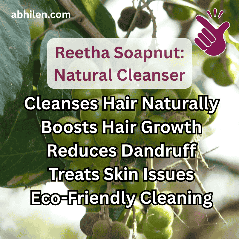 Reetha (Soapnut) Whole Fruit Reetha Soapnut key benefits for hair and skin