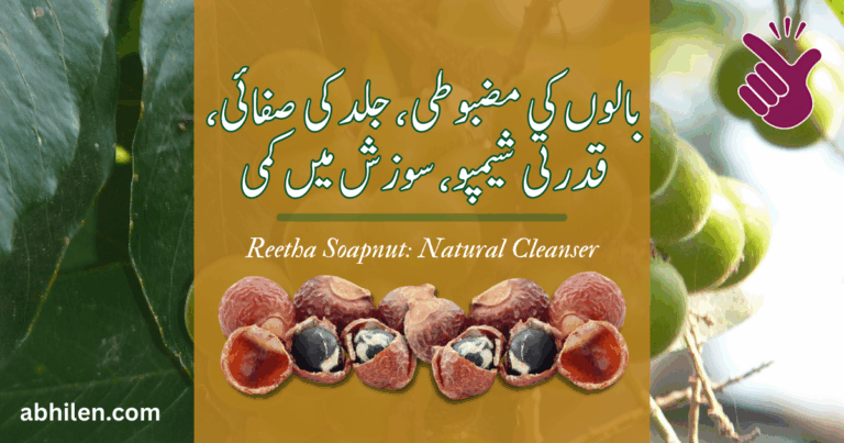 ریٹھا کے پھل اور صحت کے فوائد