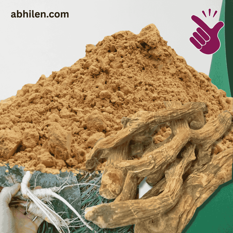 Shaqaqul Misri Wild Parsnip powder for herbal use