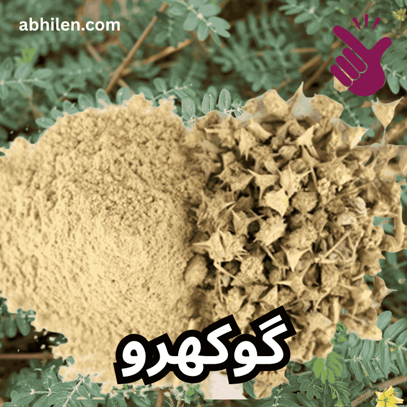 Gokhru Tribulus terrestris powder for wellness