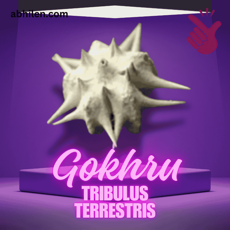 Close-up of Gokhru Tribulus terrestris fruit quality